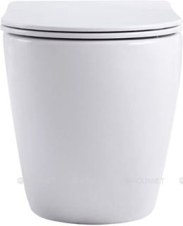 Унитаз приставной Aquanet Rimless Cetus 2.0 F LX-1902 243540 белый